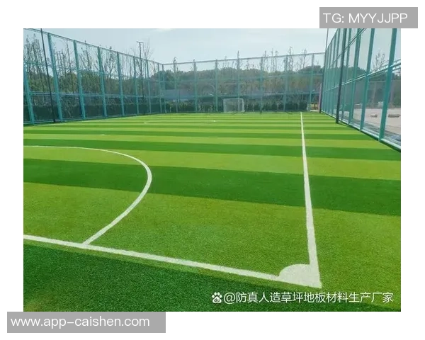 足球与植物的奇妙结合探索绿色场地上的运动与生命之美 足球与植物的奇妙结合探索绿色场地上的运动与生命之美